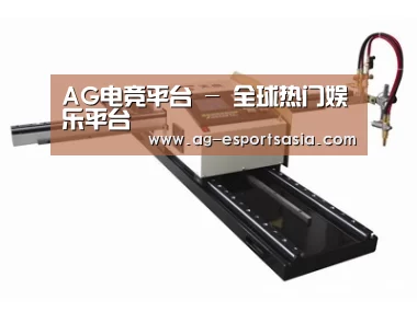 案例展示一