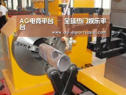 产品名称十四
