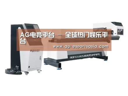案例展示三