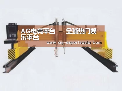 产品名称十七