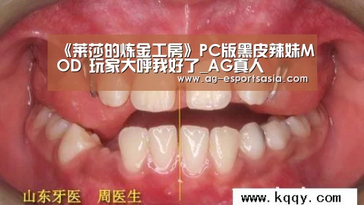 《莱莎的炼金工房》PC版黑皮辣妹MOD 玩家大呼我好了_AG真人(图3) AG娱乐