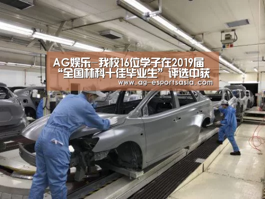 AG电竞
