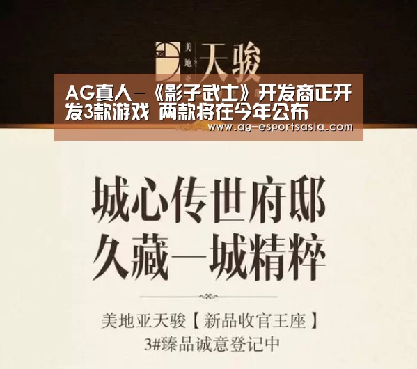 AG真人-《影子武士》开发商正开发3款游戏 两款将在今年公布(图1) AG娱乐