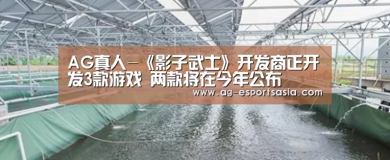 AG真人-《影子武士》开发商正开发3款游戏 两款将在今年公布(图2) AG平台